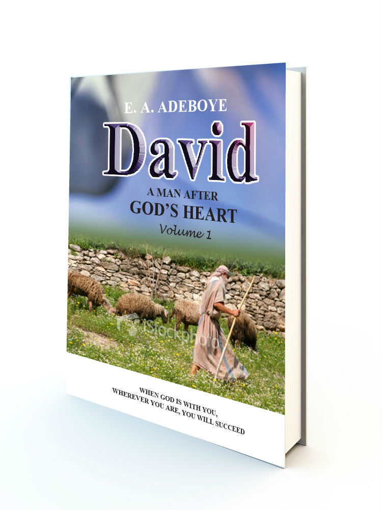DAVID A MAN AFTER GOD'S HEART - Redemption Store