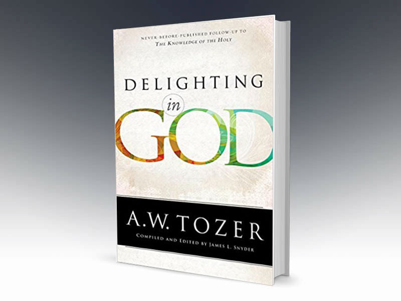 Delighting in God Paperback - Redemption Store