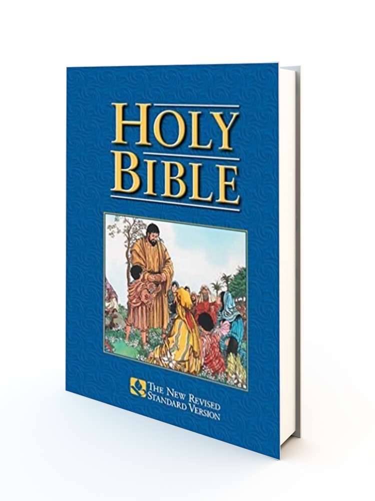 Holy Bible: New Revised Standard Version, Children's (Bible Nrsv) HB